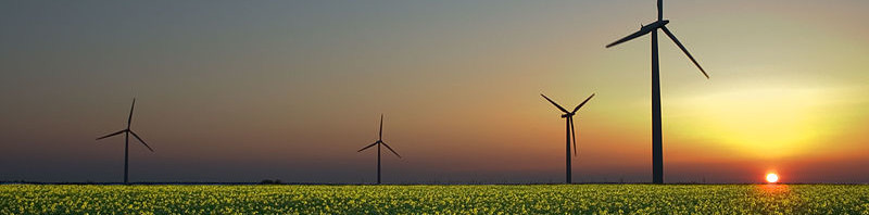 Renewable Energy Is On The Rise