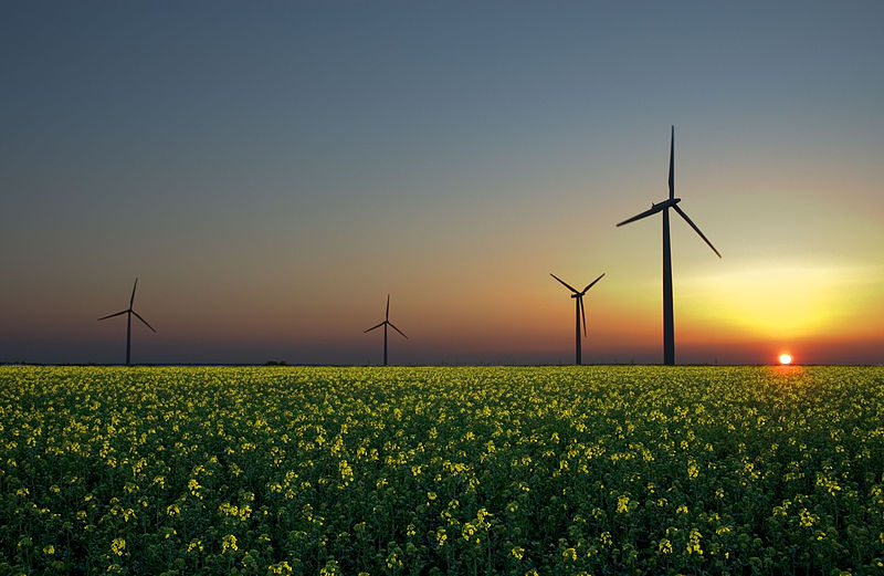 Renewable Energy Is On The Rise
