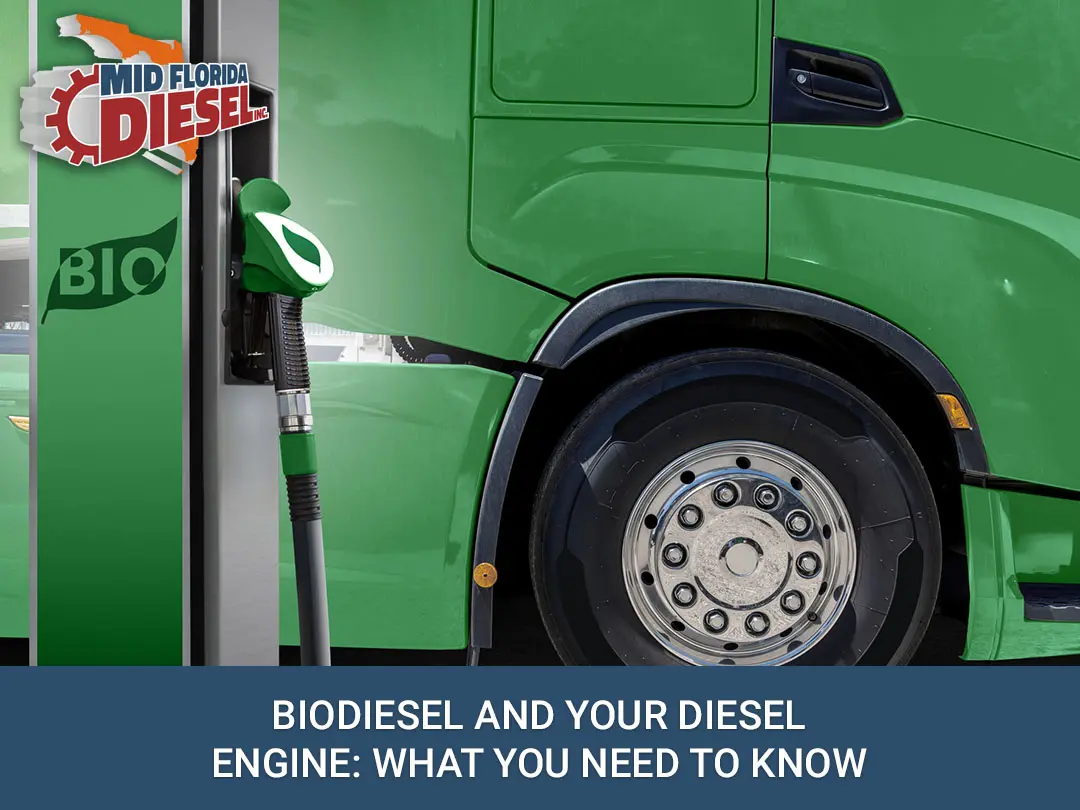 Biodiesel and Diesel Engine Maintenance in Florida